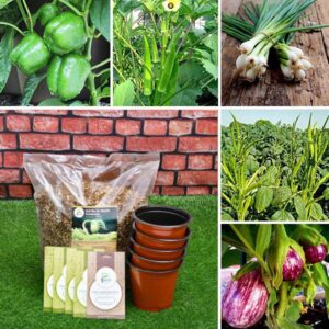 nurserylive-5-seeds-to-grow-vegetables-used-in-indian-recipe-kitchen-garden-pack